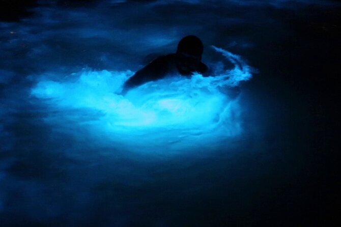 Private Guided Night Tour of Luminous Lagoon in Montego Bay - Key highlights to know before you go