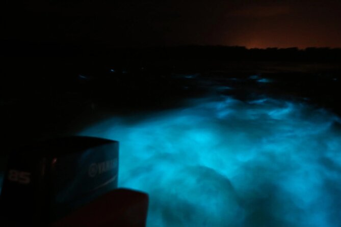 Private Guided Night Tour of Luminous Lagoon in Montego Bay - Why this luminous lagoon night tour feels special in real life