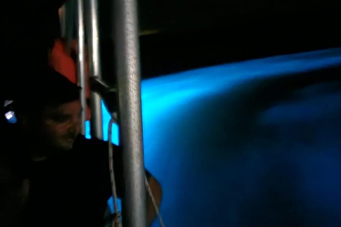 Private Guided Night Tour of Luminous Lagoon in Montego Bay - The guide matters more than you think (and names you’ll hear)