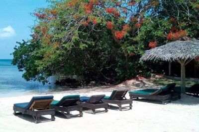 Private Half Moon Beach Tour from Montego Bay - Half Moon Private Beach: Quiet Sand, Included Entry, Real Chill Time