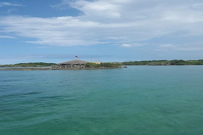 Private Half Moon Beach Tour from Montego Bay - Timing and What to Bring for a Smooth 4 Hours