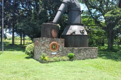 Private Hampden Estate Rum Tour from Montego Bay or Falmouth - The 8:30 am rhythm: how the timing usually works