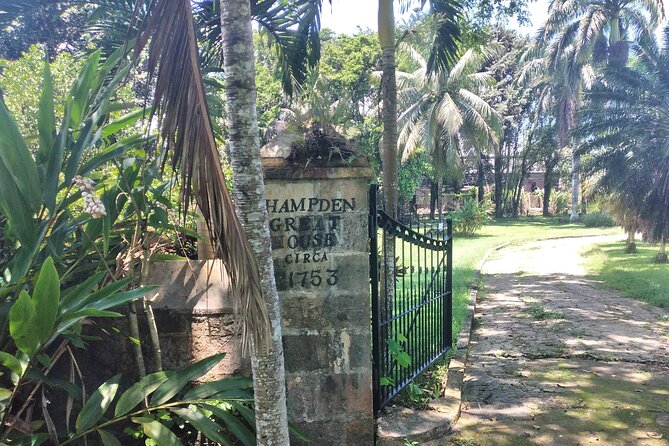 Private Hampden Estate Rum Tour from Montego Bay or Falmouth - Entering Hampden Estate: what you’re really there to learn