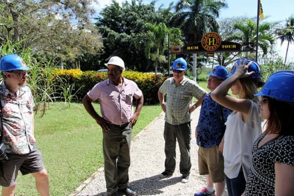 Private Hampden Estate Rum Trip from Montego Bay - Hampden Estate in the Queen of Spain Valley: Why This Location Matters