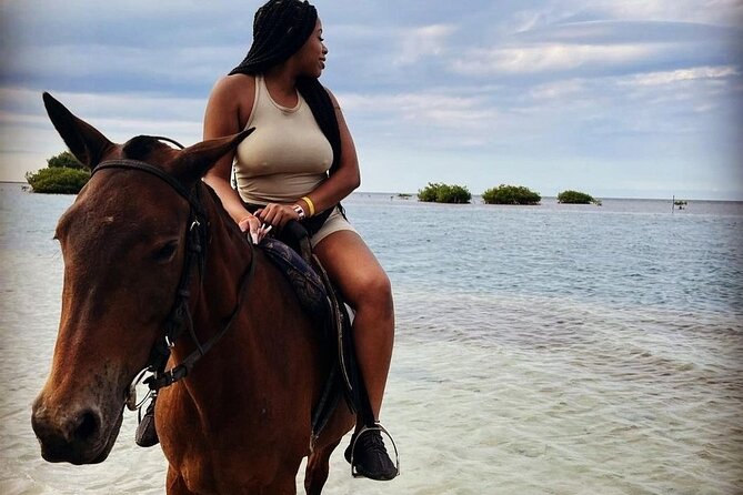 Private Horse Back Riding with ATV Combo. - From a cattle farm pass to Montego Bay’s rest-and-reggae hour