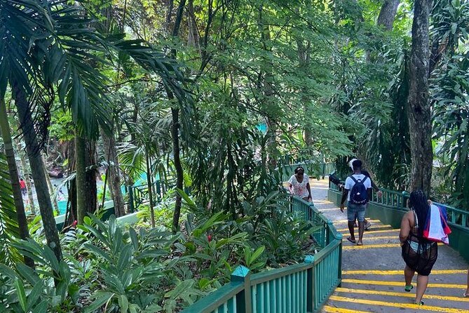 Private Horseback Riding, Swimming and Dunn's River Falls Tour - A Day That Mixes Dunn’s River Falls and Ocean Horseback