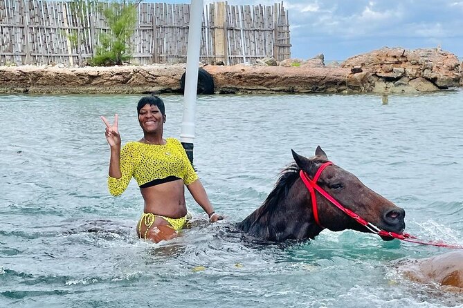 Private Horseback Riding, Swimming and Dunn's River Falls Tour - Price and Value: What $240 Buys for a 6-Hour Day