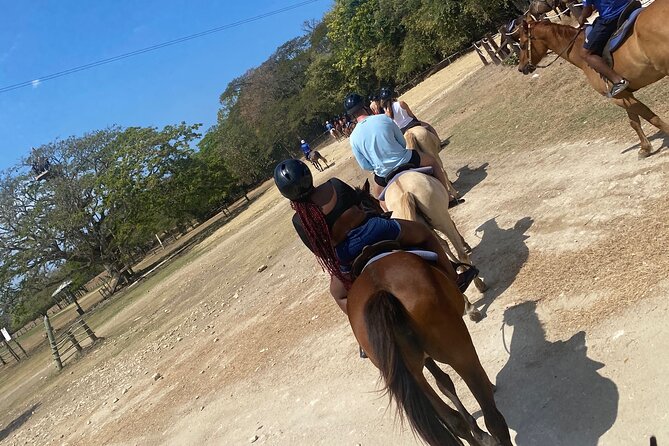 Private Horseback Riding with Blue Hole River Tour in Montego Bay - Why This Montego Bay Horseback + Blue Hole Combo Works