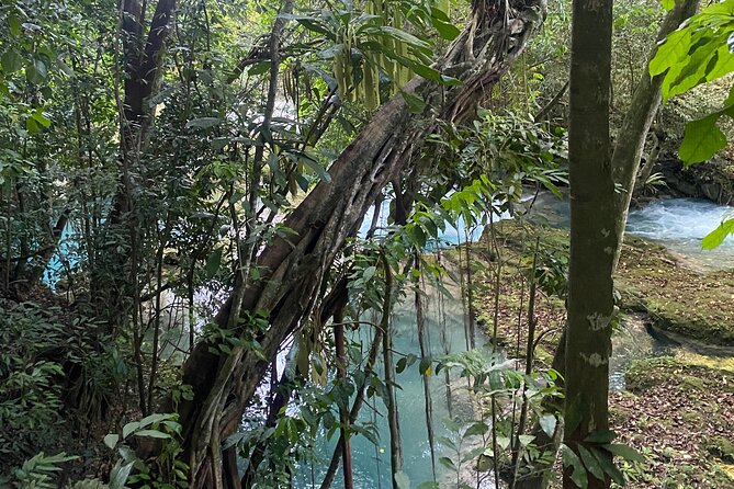 Private Horseback Riding with Blue Hole River Tour in Montego Bay - The 4-Hour Flow: Pickup, Driving, and Two Main Activity Blocks