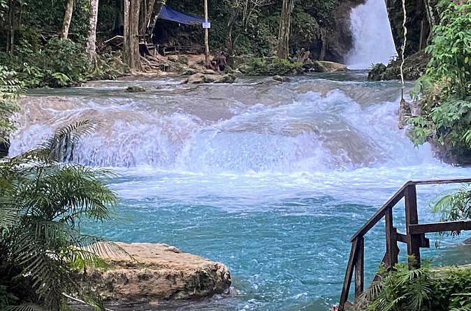 Private Horseback Riding with Blue Hole River Tour in Montego Bay - Discover Bay Horseback: Beach Riding and Bird Encounters