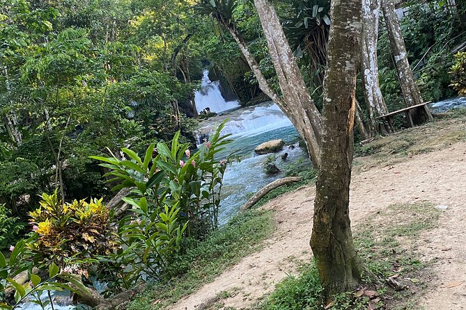 Private Horseback Riding with Blue Hole River Tour in Montego Bay - Blue Hole River Time: Safe Water Fun and Photo Climbing
