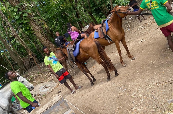 Private Horseback Riding with Blue Hole River Tour in Montego Bay - What to Bring for a Comfortable Beach + River Day