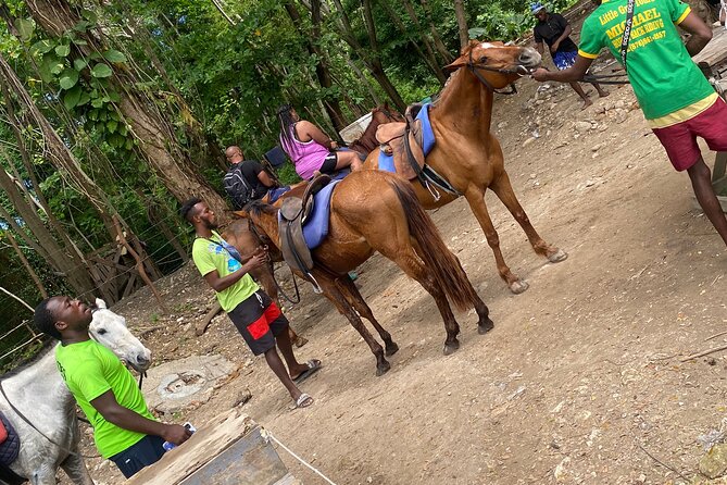 Private Horseback Riding with Blue Hole River Tour in Montego Bay - Price and What You’re Really Paying For