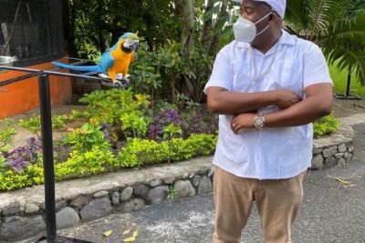 Private Konoko Falls and Blue Hole Combo Tour from Ocho Rios - Starting Out: Hotel or Cruise Pickup in an Air-Conditioned Van