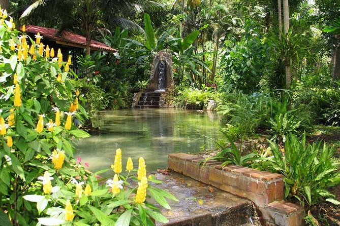 Private Konoko Falls and Blue Hole Combo Tour from Ocho Rios - Mr T and Susanna: The Human Side That Makes the Day Better