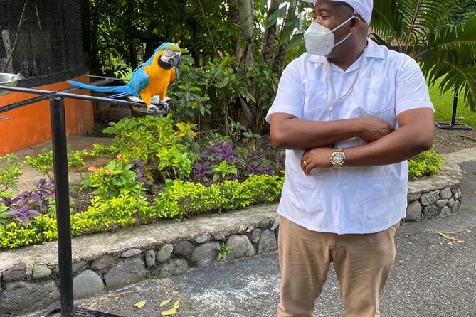 Private Konoko Falls and Blue Hole Combo Tour from Ocho Rios - Starting Out: Hotel or Cruise Pickup in an Air-Conditioned Van