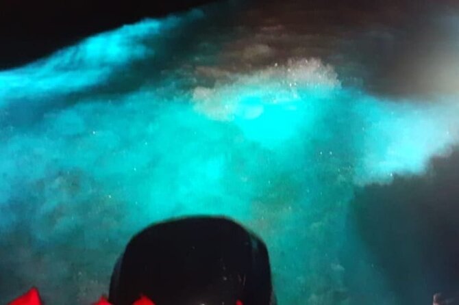 Private Luminous Blue Lagoon Night Tour in Falmouth - Luminous Lagoon at night: where the glow happens