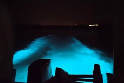 Private Luminous Blue Lagoon Night Tour in Falmouth - Private transportation from your hotel: easy, clean, and actually helpful
