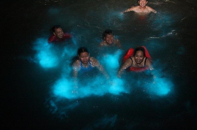 Private Luminous Blue Lagoon Night Tour in Falmouth - Price and value: is $90 worth it?