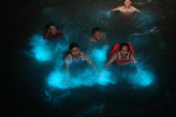 Private Luminous Blue Lagoon Night Tour in Falmouth - Who this private night tour fits best