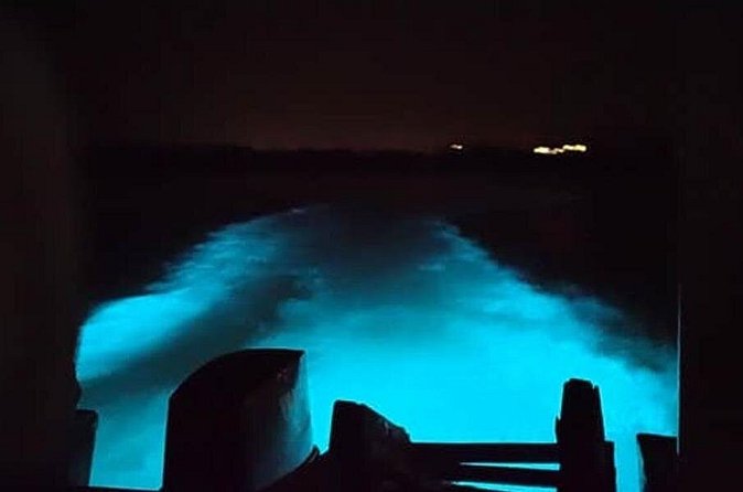 Private Luminous Blue Lagoon Night Tour in Falmouth - Should you book this Luminous Blue Lagoon night tour?