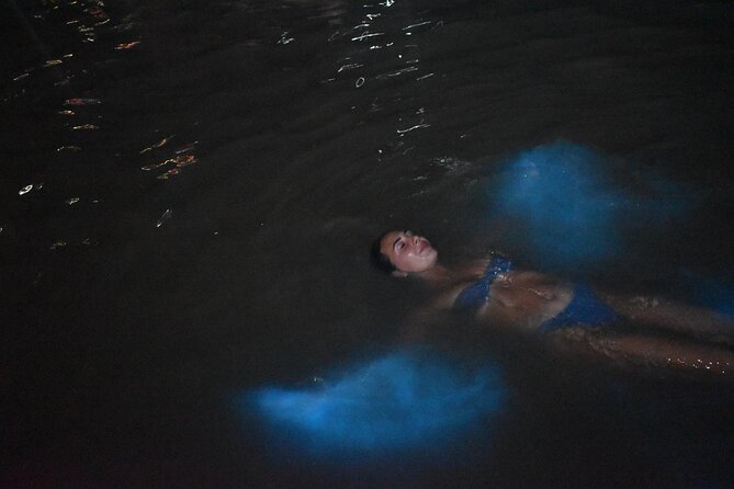 Private Luminous Lagoon Tour from Montego Bay - Captain Vincent’s water stories and helpful crew energy