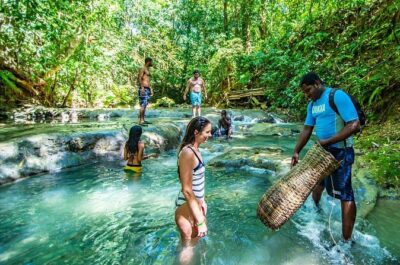 Private Mayfield Falls Waterfalls Tour [ Transportation ] - The Morning Plan: Timing Your 4 to 5 Hour Waterfall Day