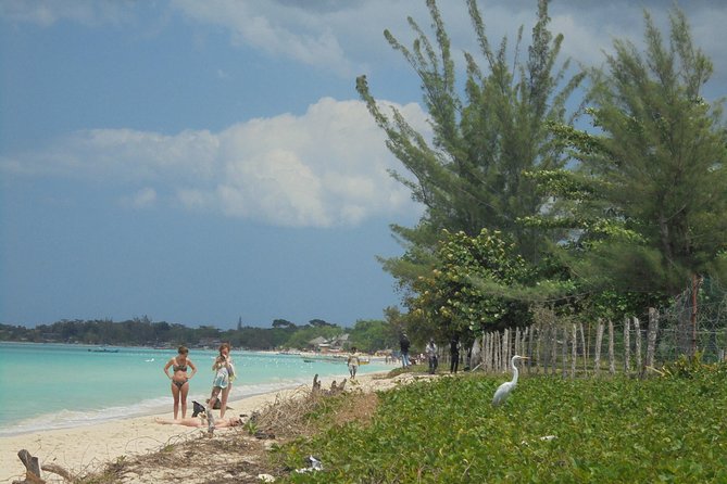 Private Montego Bay Airport Transfer to Negril - Stops you can request: pictures, breaks, and picking up supplies