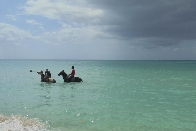 Private Montego Bay Airport Transfer to Negril - The ride itself: clean AC, comfortable pacing, and real Jamaica conversation