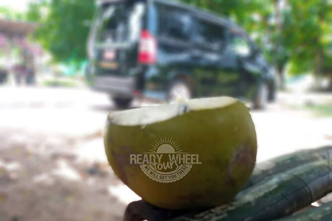 Private Montego Bay Airport Transfer with a Local Guide - Pickup and Drop-Off in Montego Bay: Getting Oriented Fast