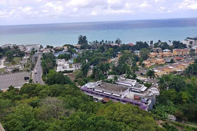 Private Montego Bay Highlights Tour - Key highlights I’d circle first