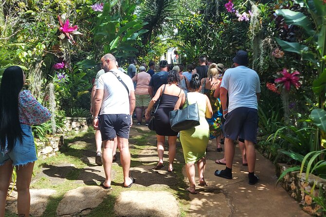Private Nine Mile Tour from Montego Bay - Who this private Nine Mile tour is best for (and who should choose differently)