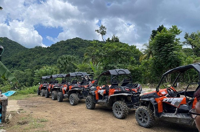 Private Rasta Safari Cultural UTV Village Experience - Mineral Spring Swim Pause: A Local Hangout Moment