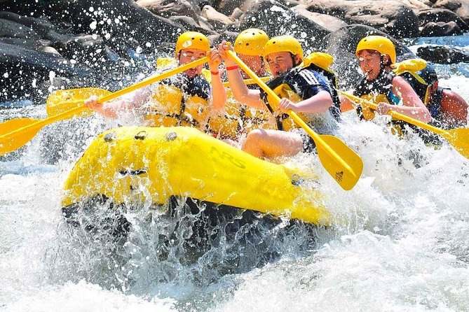 Private Rio Bueno River Adventure from Montego Bay - Key things I’d lock in before you book