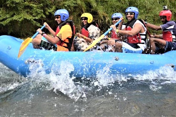 Private Rio Bueno River Adventure from Montego Bay - Price Breakdown: What the $286.40 Per Group Really Buys