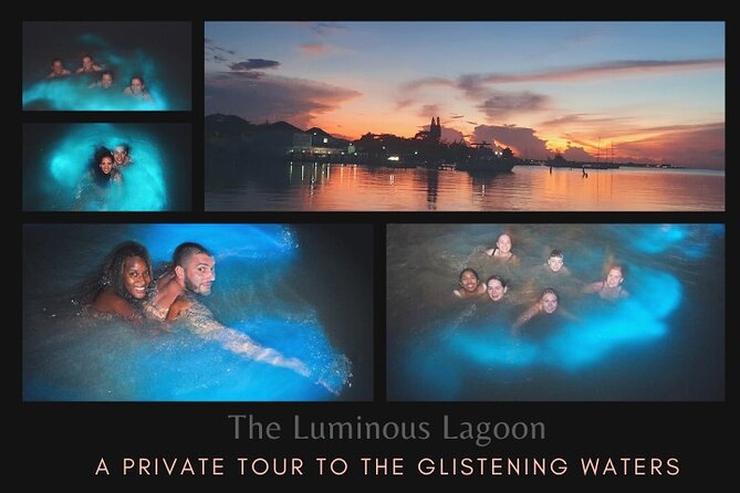 Private Tour in the Glistening Waters from Montego Bay - Key Highlights to Know Before You Go