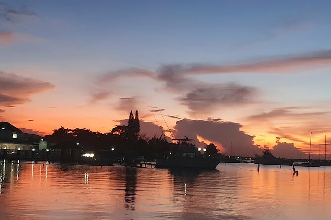 Private Tour in the Glistening Waters from Montego Bay - Price and Value: Is $59.99 Per Person Fair?