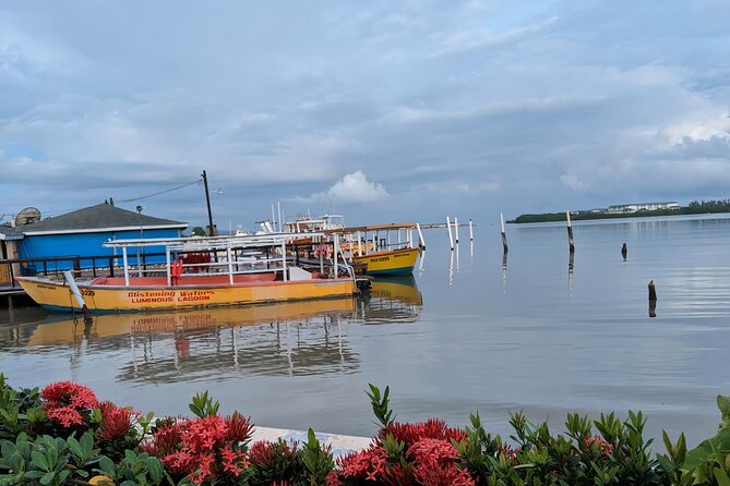 Private Tour in the Glistening Waters from Montego Bay - Time, Weather, and How to Keep Your Plans Flexible