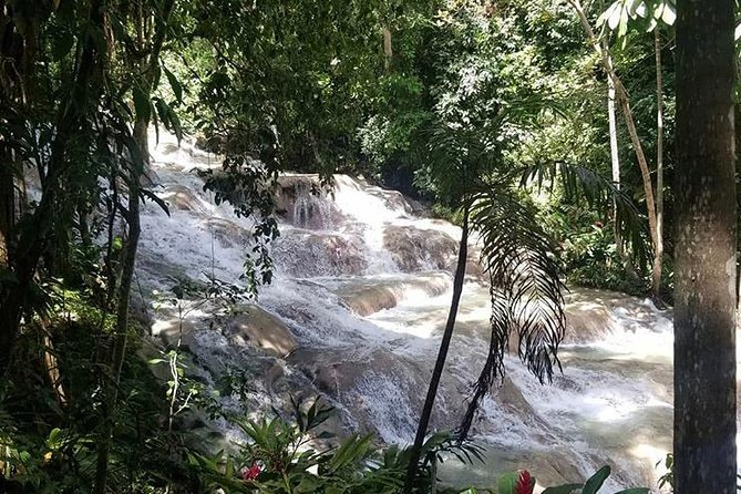 Private Tour Montego Bay To Blue Hole and Dunns River falls - What to Bring (So You Don’t Regret It Mid-Water)