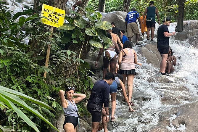 Private Tour To Blue Hole and Dunn’s River from Montego Bay - Two Jamaica classics in one private day from Montego Bay