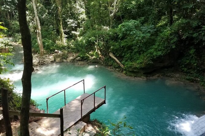 Private Tour To Blue Hole and Dunn’s River from Montego Bay - Should you book this Private Tour To Blue Hole and Dunn’s River?