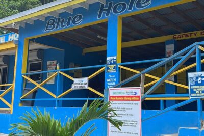 Private Tour to Dunns River and Blue Hole from Montego Bay - Your Driver and Guide: The Difference Between Wet Chaos and a Good Day