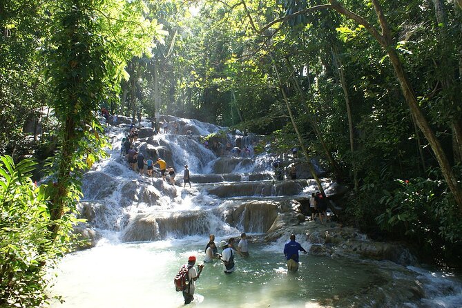 Private Tour to Dunns River and Horseback Riding with Local Guide - Key highlights from this Dunns River + Horseback Ride day