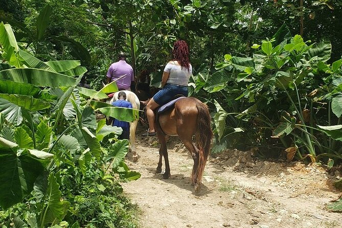 Private Tour to Dunns River and Horseback Riding with Local Guide - What makes this Dunns River and horseback combo worth doing
