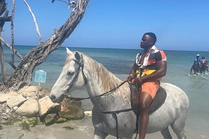 Private Tour to Dunns River and Horseback Riding with Local Guide - Horseback riding on Jamaica’s beaches: the calm counterweight