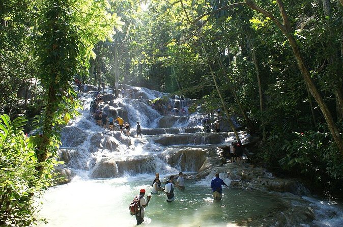 Private Tour to Dunns River and Horseback Riding with Local Guide - Your guide can make or break the day: Green and Carado’s impact