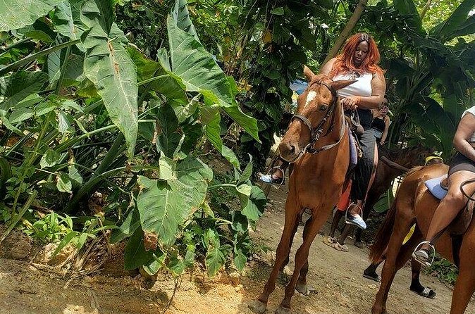 Private Tour to Dunns River and Horseback Riding with Local Guide - What to bring and how to prep for the active parts