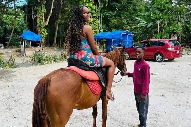 Private Transfer from Montego Bay to Dunns River Falls - Who this private transfer suits best