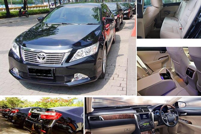 Private Transfer Montego Bay to Ocho Rios - Who Should Book This MBJ to Ocho Rios Transfer?