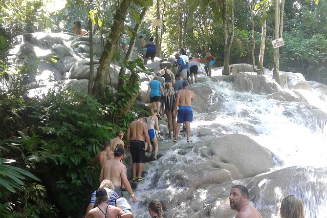 Private Transfer to Dunns River Blue Hole Tubing from Montego Bay - Where You Start on the Hip Strip (and How the Day Ends)